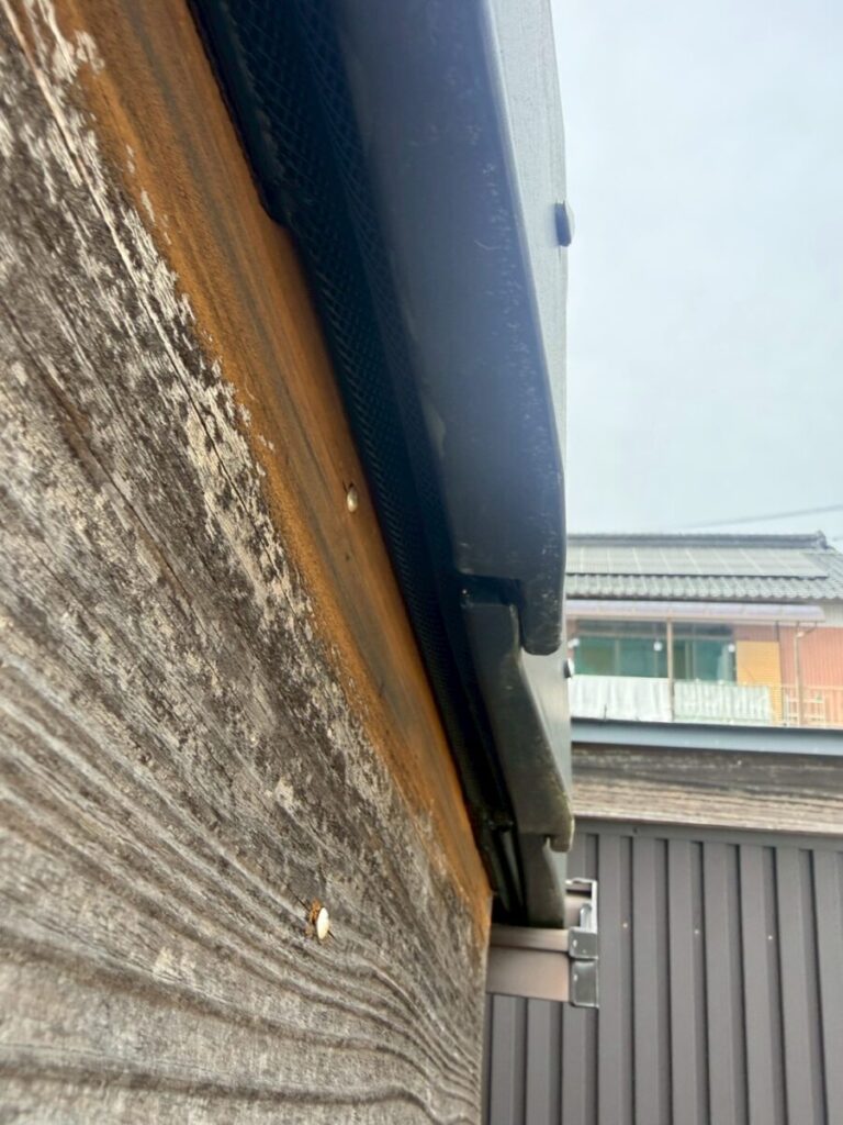 施工後：岐阜　コウモリ侵入口封鎖