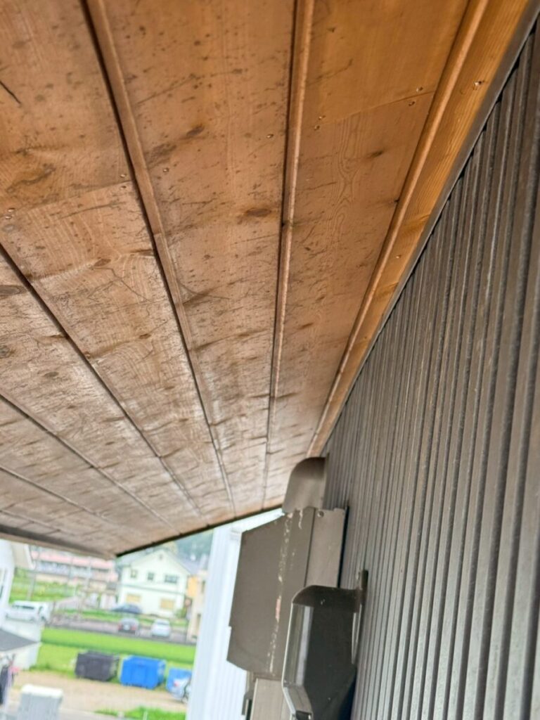 岐阜　鳩　糞害