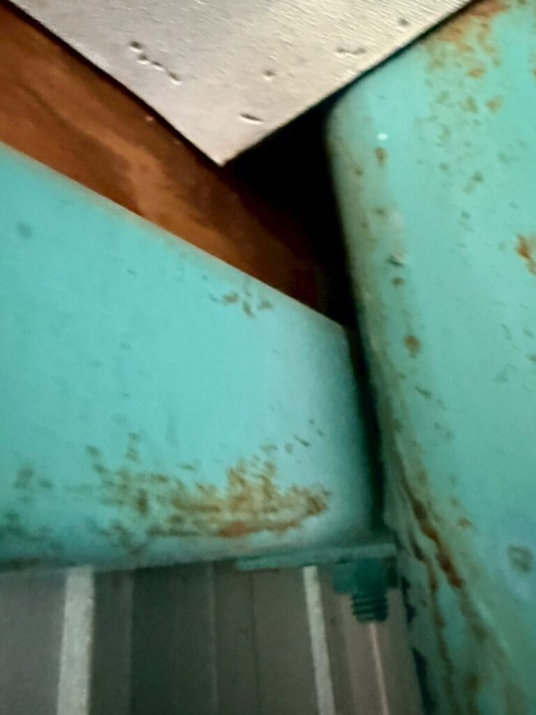 岐阜　イタチ侵入口