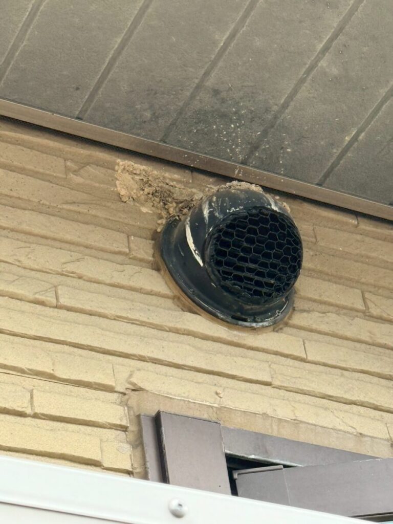 施工後：岐阜　コウモリ駆除　施工後