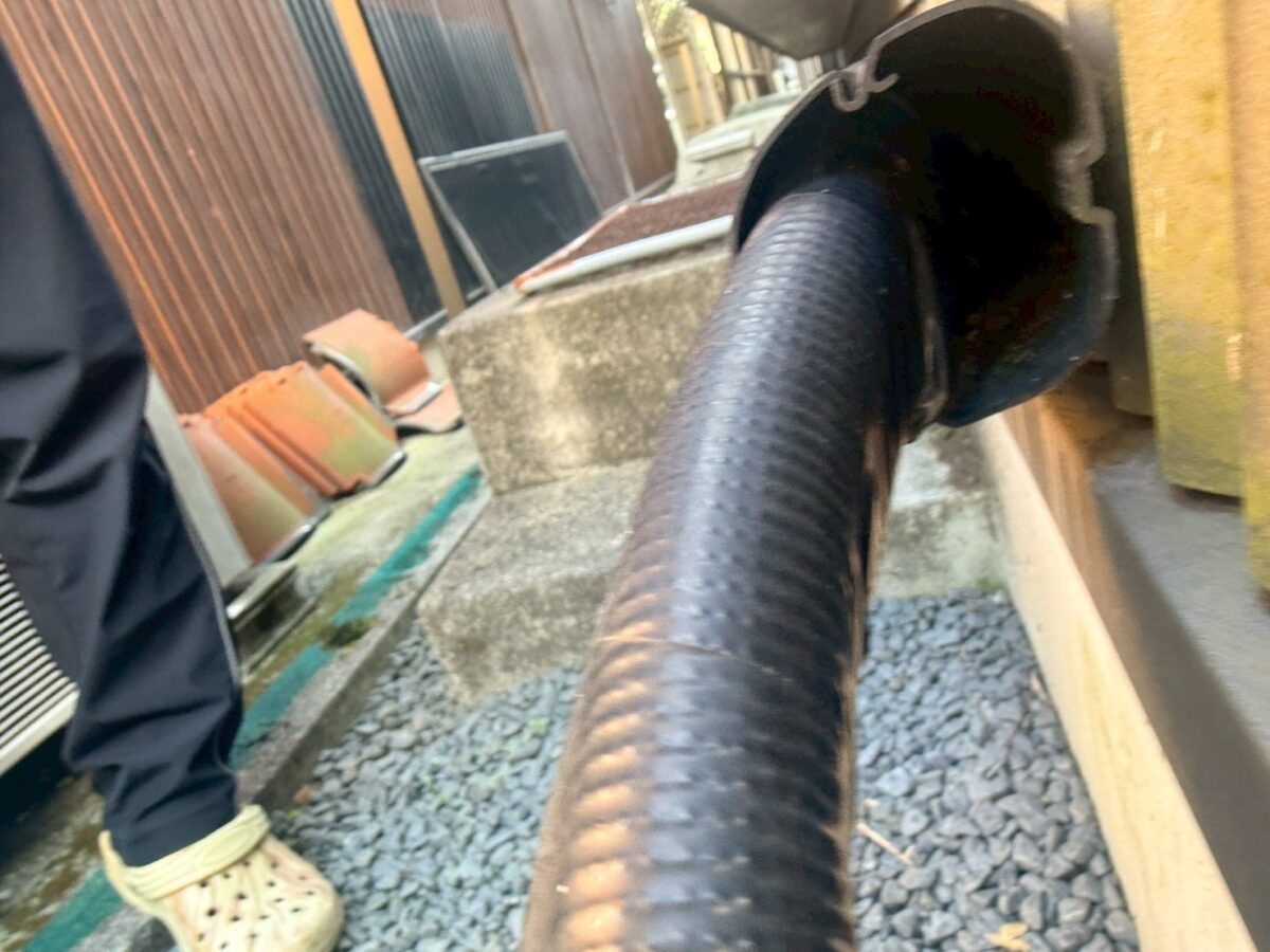 岐阜　安八郡　ネズミ駆除