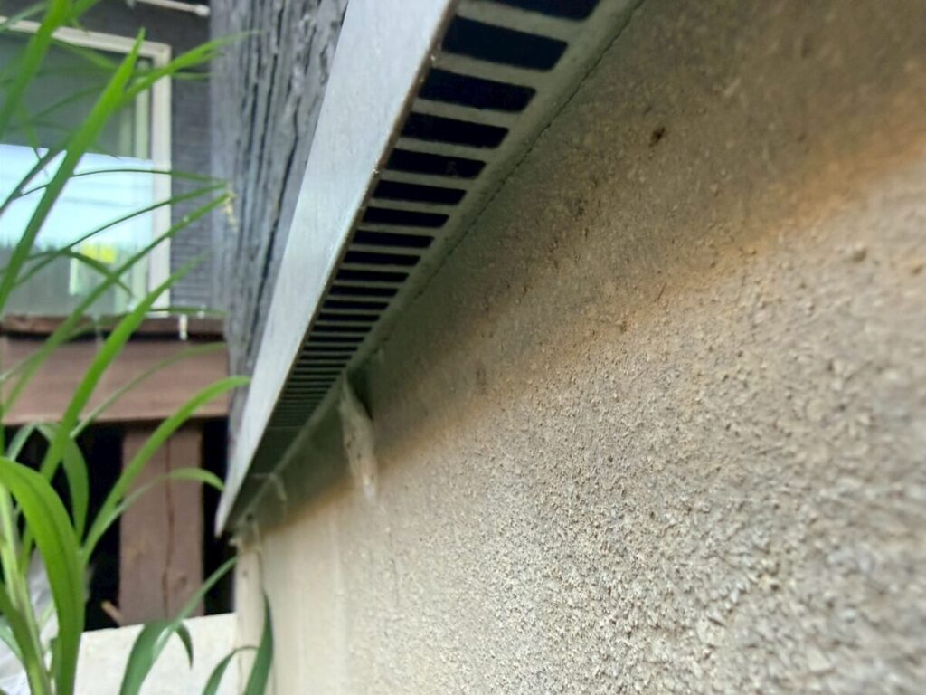 岐阜　ネズミ　虫　侵入口