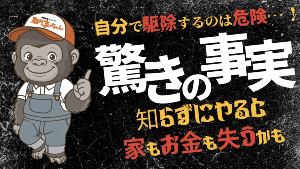岐阜　害獣駆除　YouTube