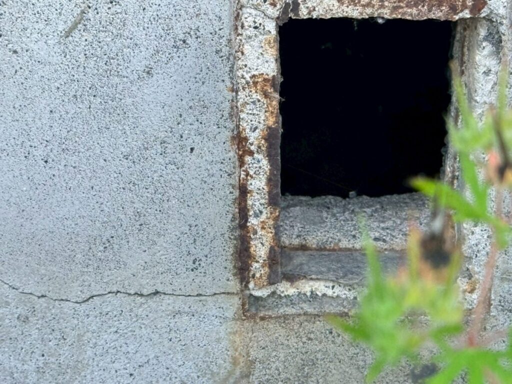 岐阜　イタチ侵入口　