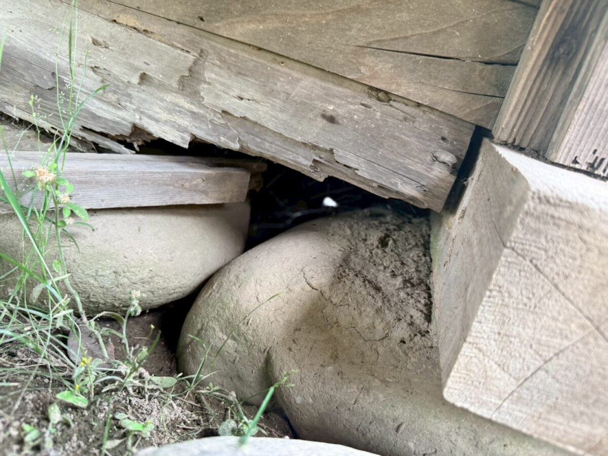 岐阜 イタチ侵入口