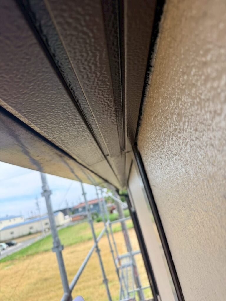三重県四日市市コウモリ対策