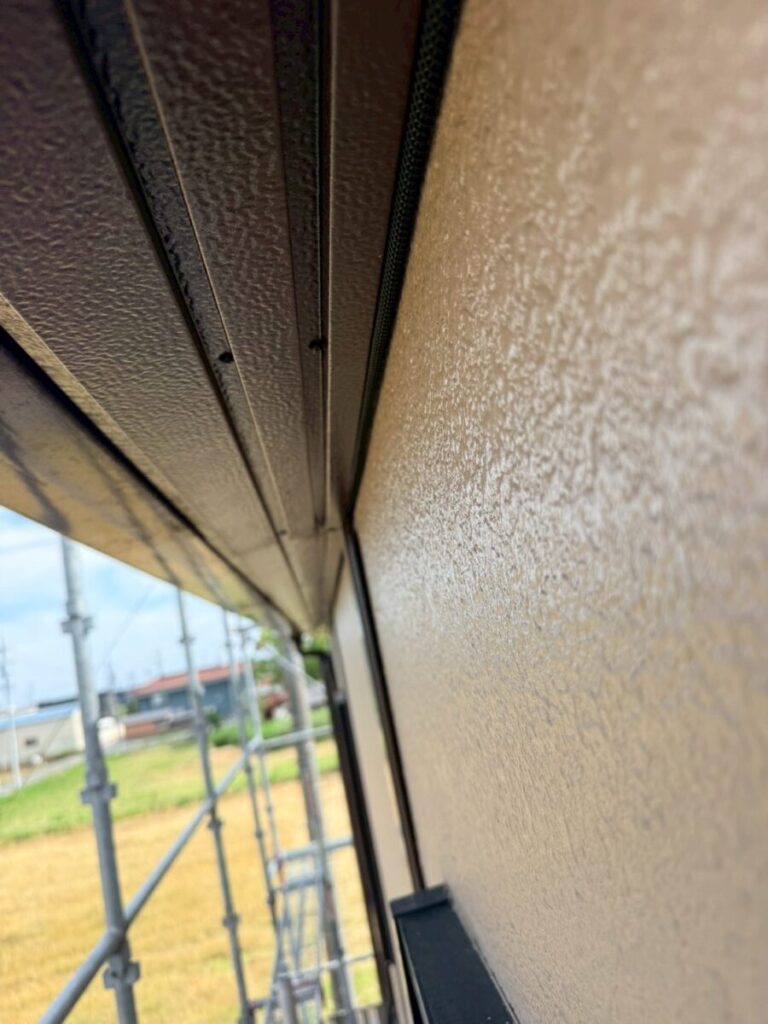 三重県四日市市コウモリ対策