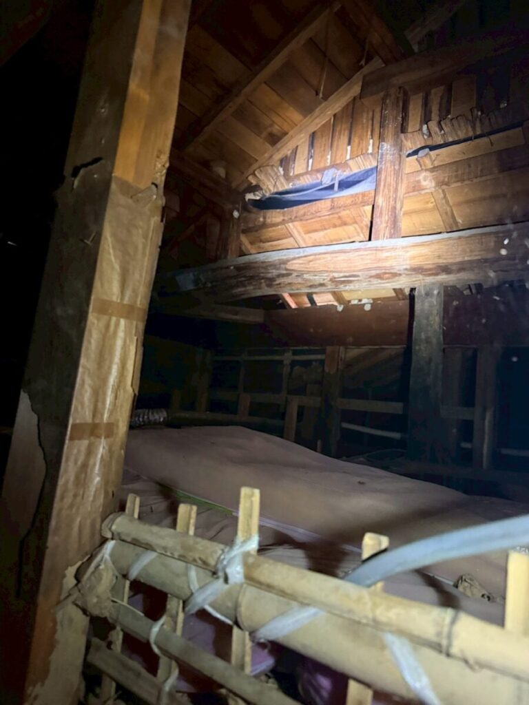 三重県四日市市ハクビシン被害