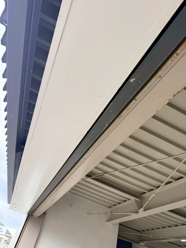 岐阜県岐阜市コウモリ被害 施工前