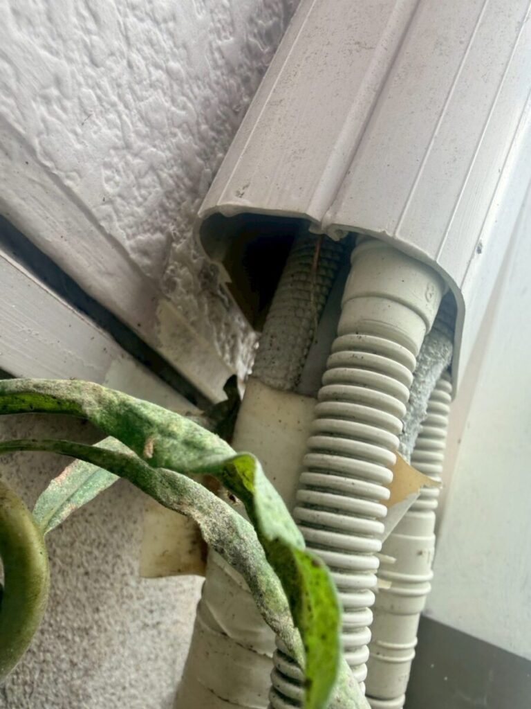 岐阜県岐阜市ネズミ侵入口