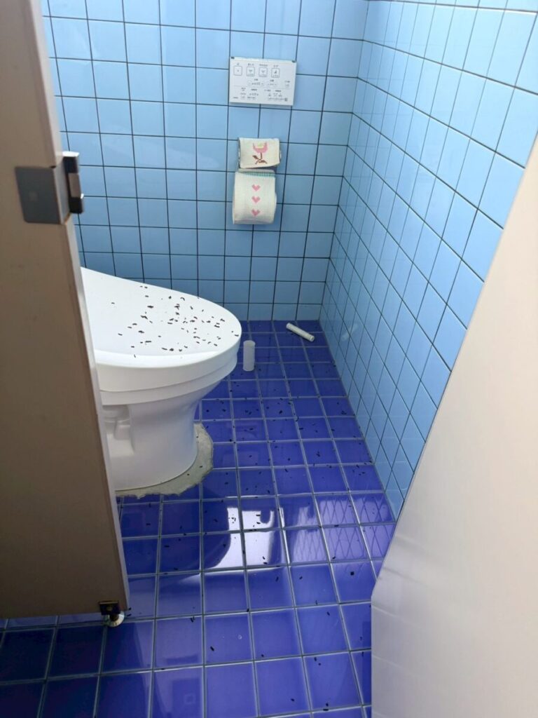 三重県四日市市コウモリ糞被害