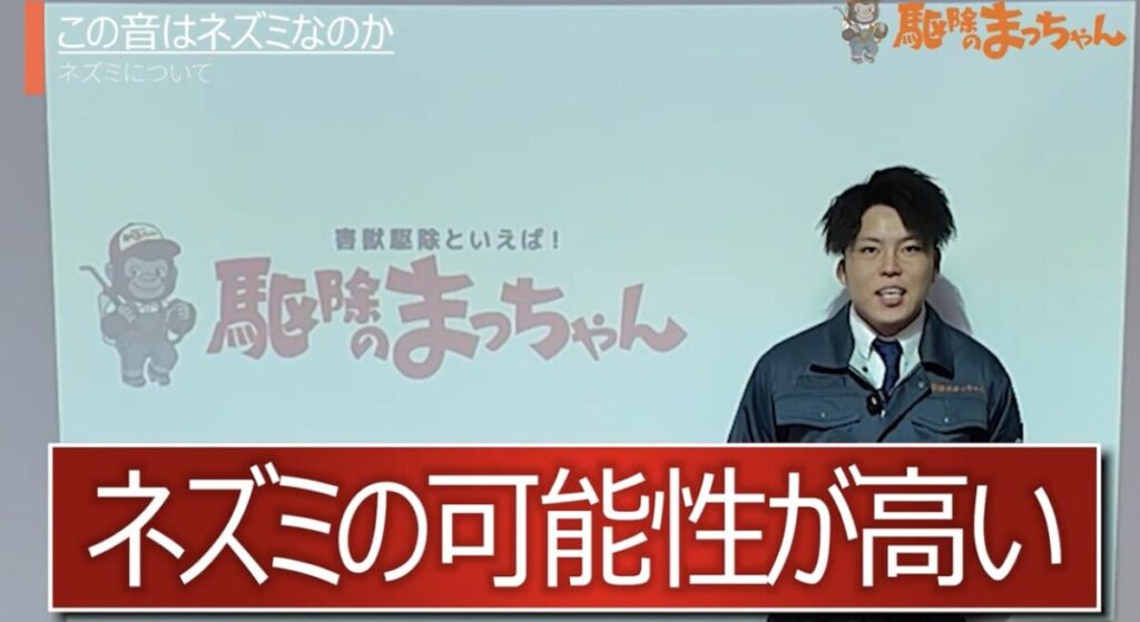 岐阜 ネズミ 音