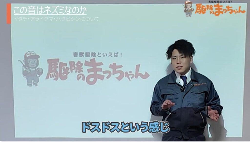 ハクビシン 足音