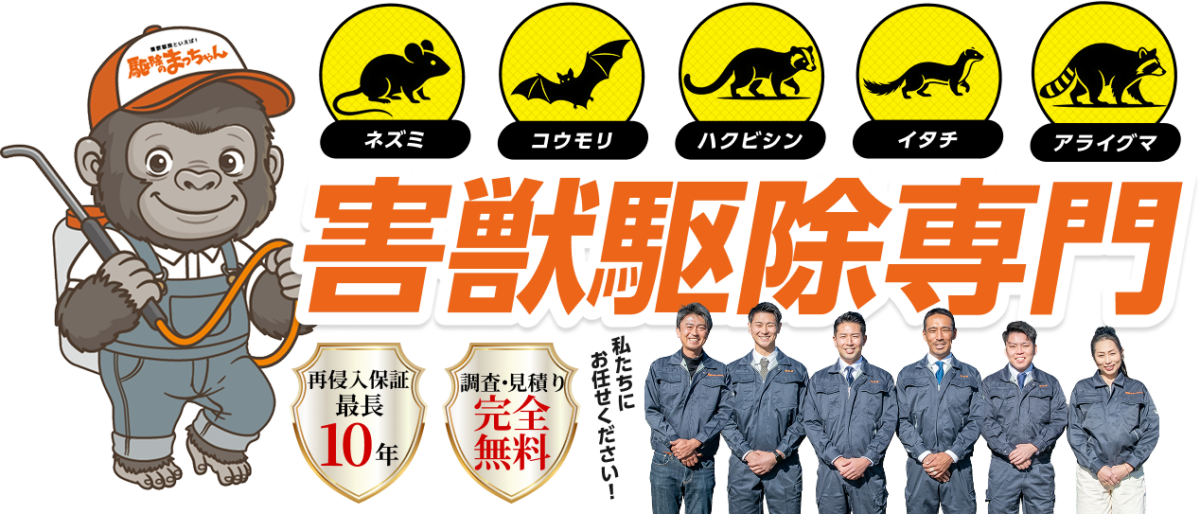 ネズミ、コウモリ、ハクビシン、イタチ、アライグマ害獣駆除専門。再侵入保証最長10年、調査・見積り完全無料。私たちにお任せください!
