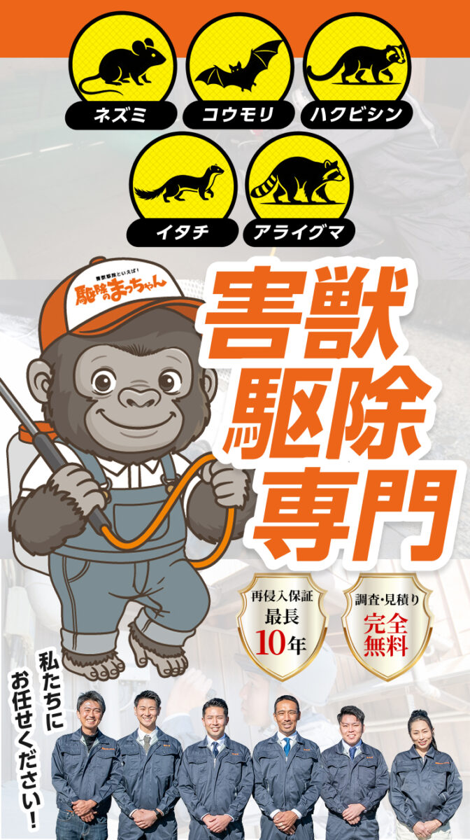 ネズミ、コウモリ、ハクビシン、イタチ、アライグマ害獣駆除専門。再侵入保証最長10年、調査・見積り完全無料。私たちにお任せください!