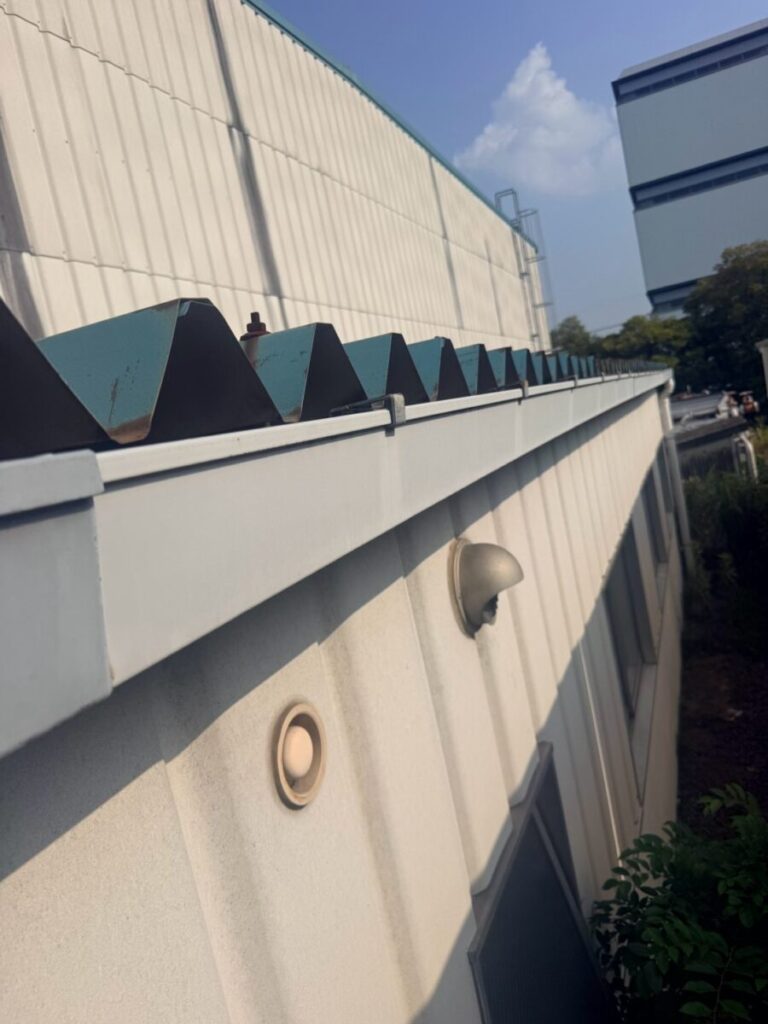 三重県四日市市ハクビシン被害