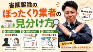 YouTube動画　
