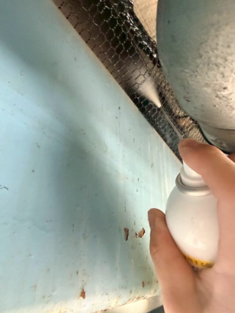 岐阜県恵那市コウモリ被害 追い出し作業