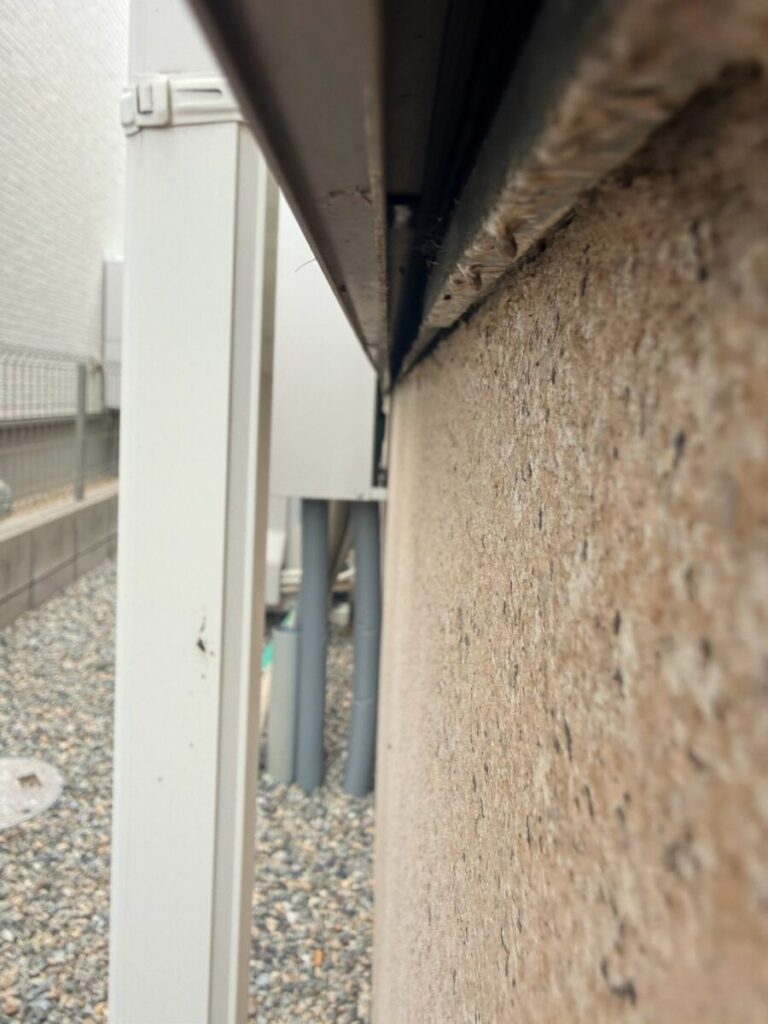 三重県四日市市ネズミ対策