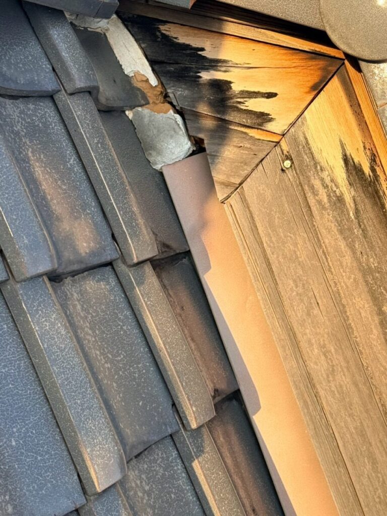 岐阜県大垣市ネズミ駆除