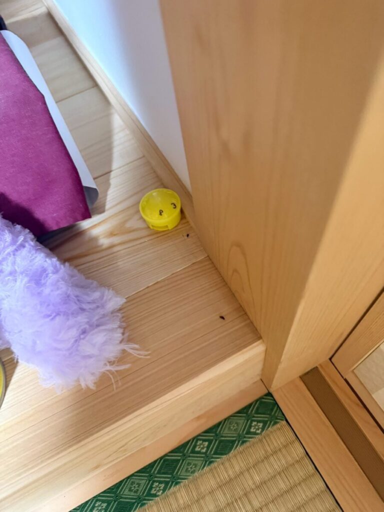 岐阜 ネズミ駆除