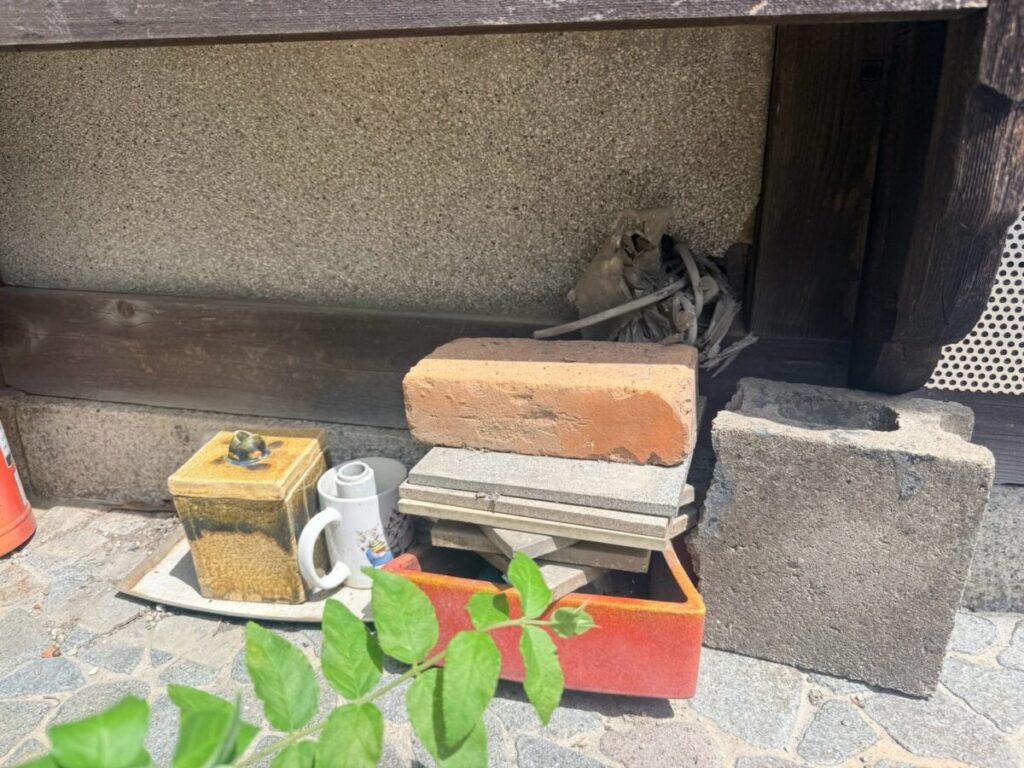 岐阜県岐阜市ネズミ駆除