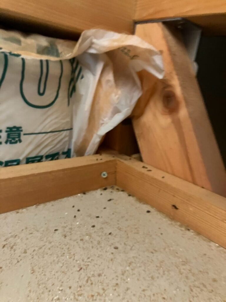 石川県金沢市ネズミ駆除