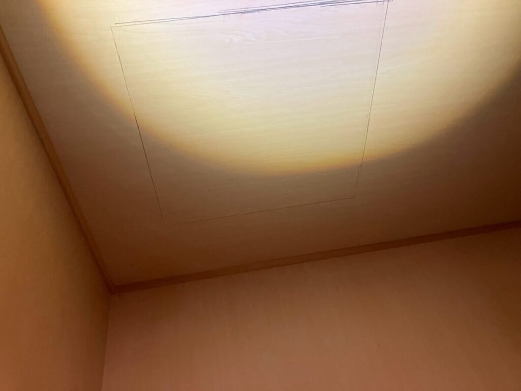 石川県金沢市ネズミ駆除