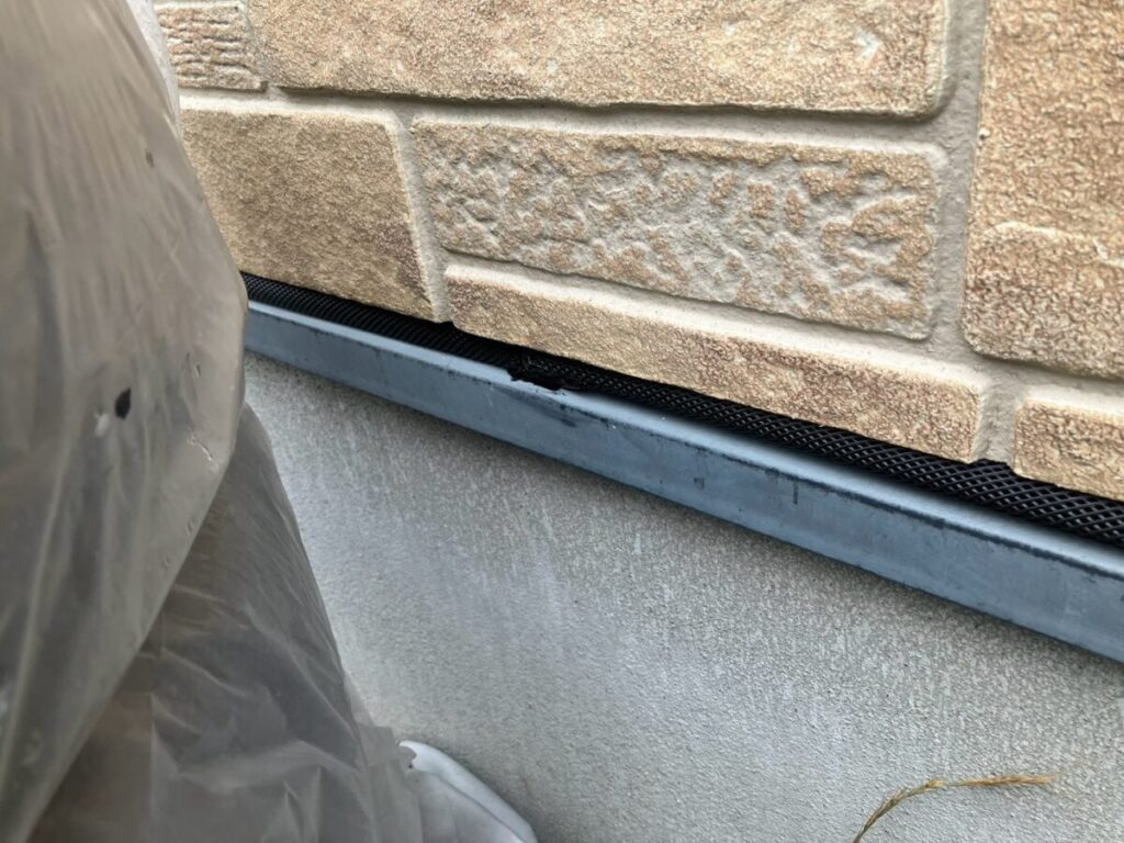 石川県金沢市ネズミ駆除
