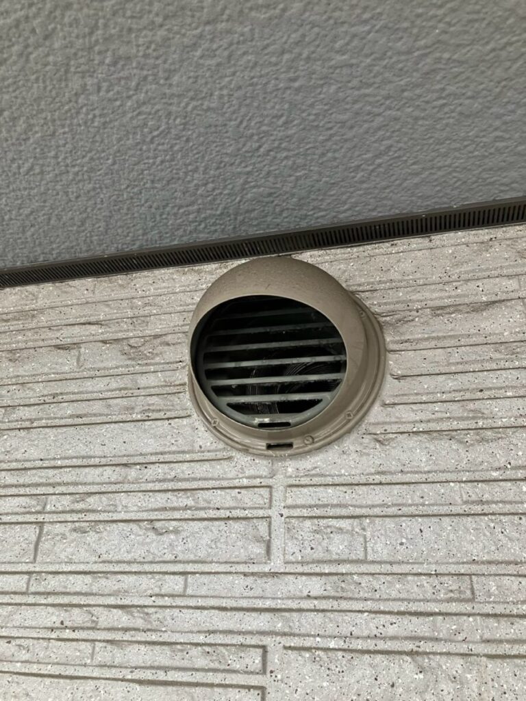 石川県金沢市コウモリ駆除