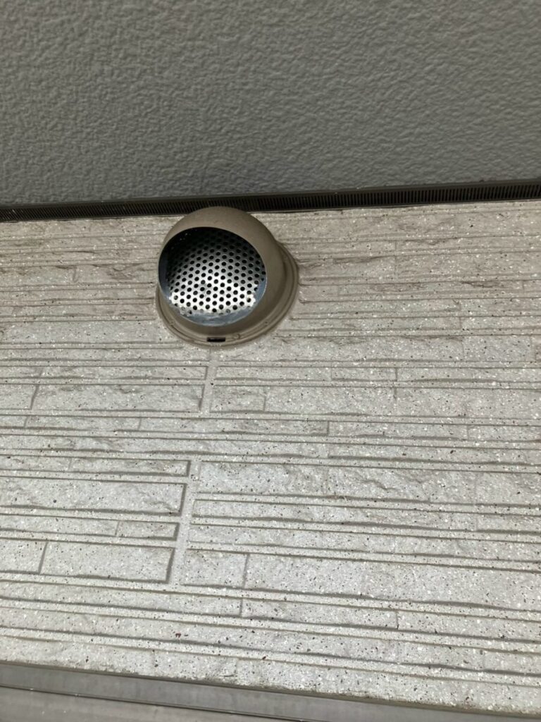 石川県金沢市コウモリ駆除