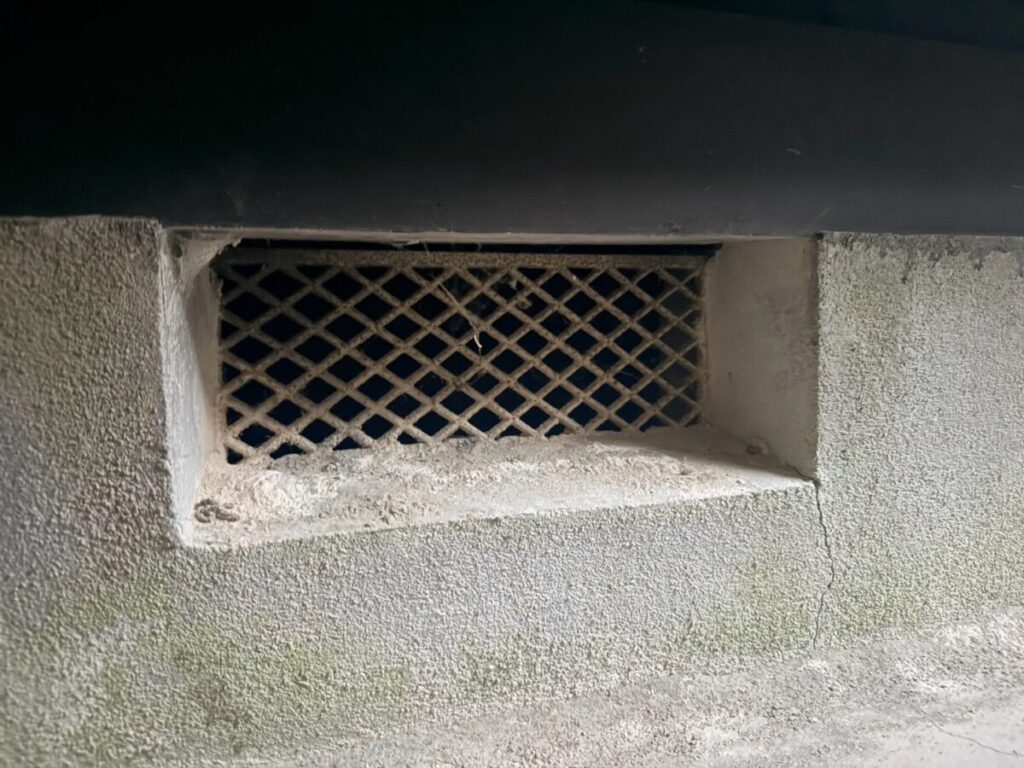岐阜県岐阜市ネズミ駆除