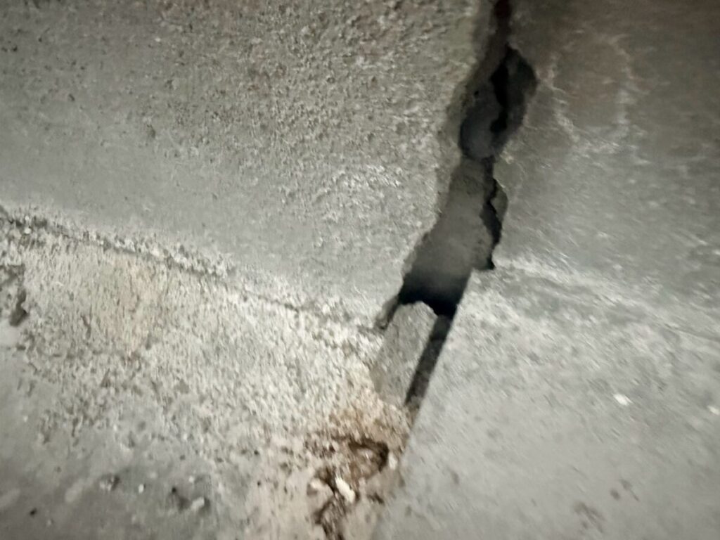 岐阜県岐阜市ネズミ駆除