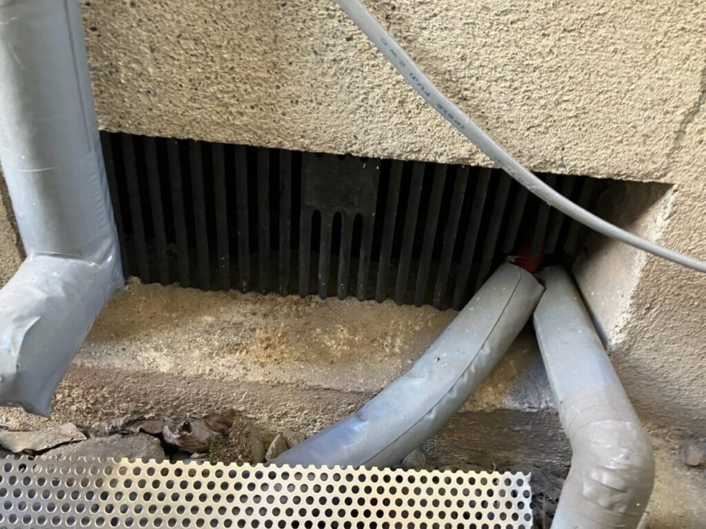 東京都町田市ネズミ・イタチ駆除
