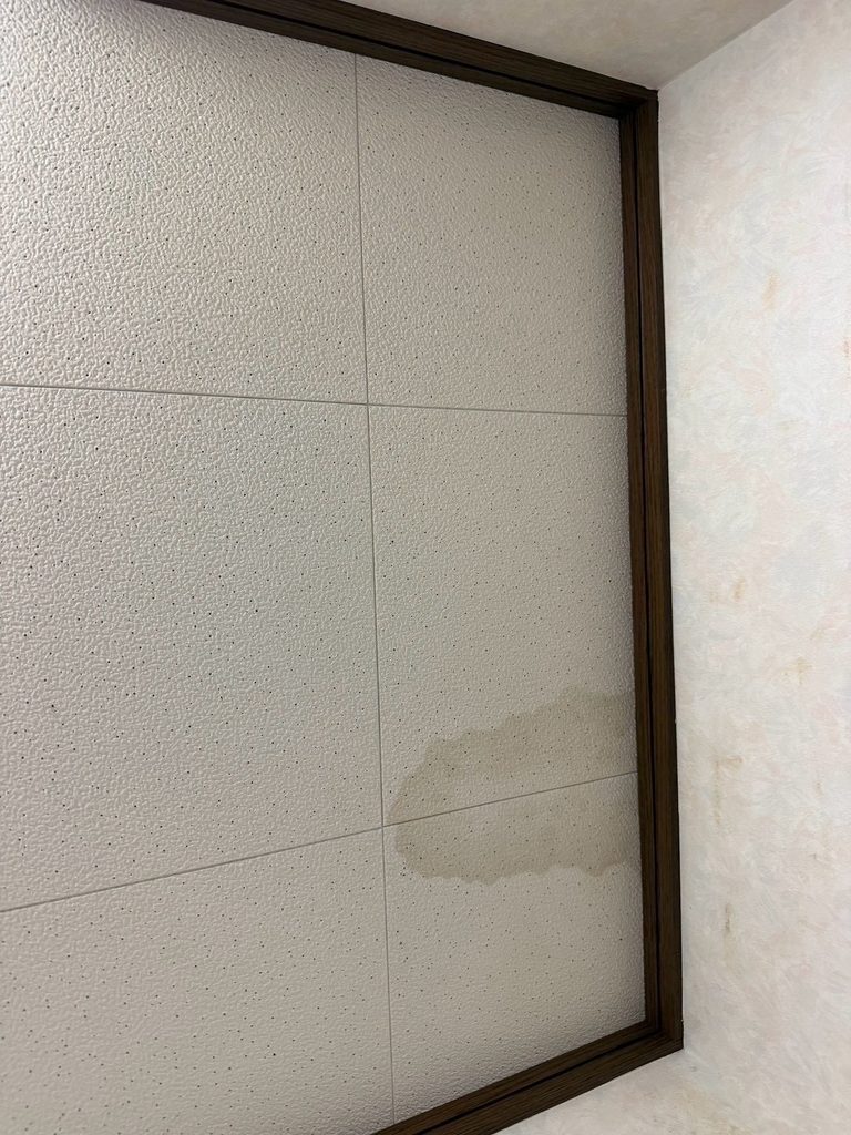 工場天井裏イタチ被害