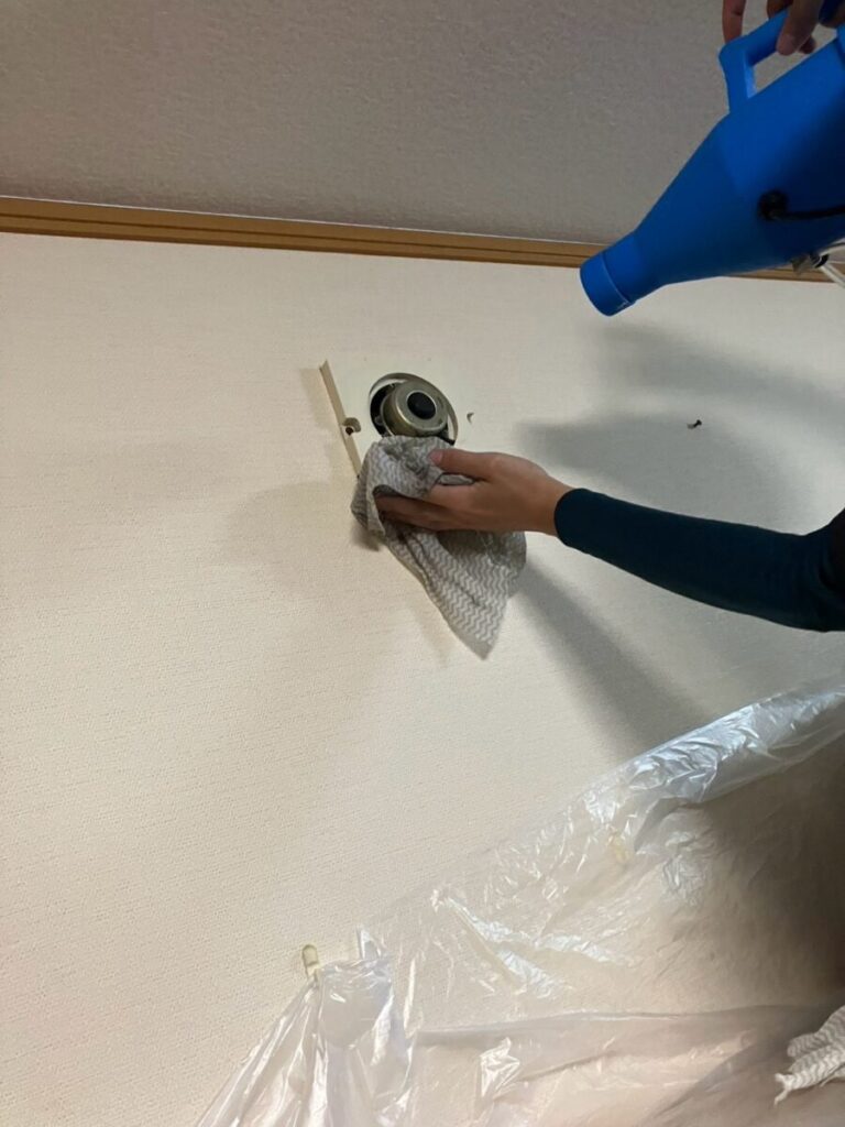 東京都町田市コウモリ駆除