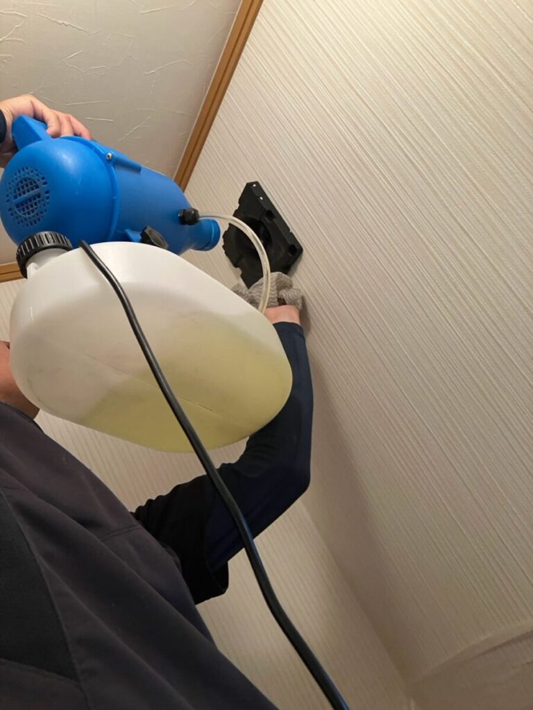 東京都町田市コウモリ駆除