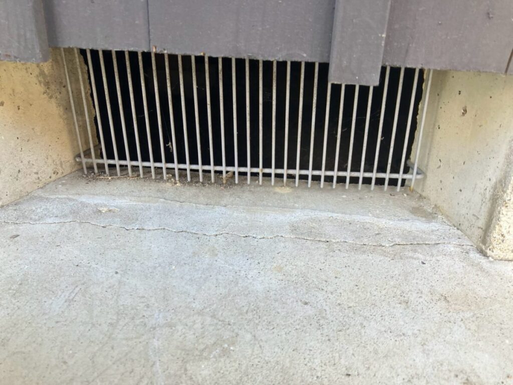 東京都町田市ネズミ・イタチ駆除