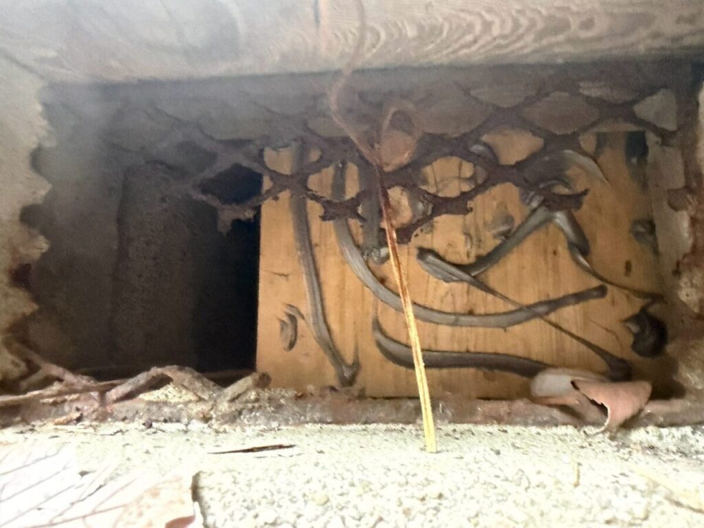 岐阜県大垣市ネズミ・イタチ被害