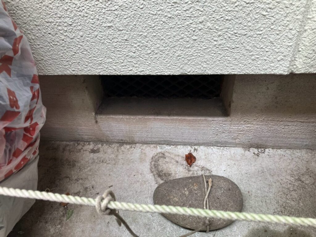 神奈川県相模原市ネズミ・イタチ駆除