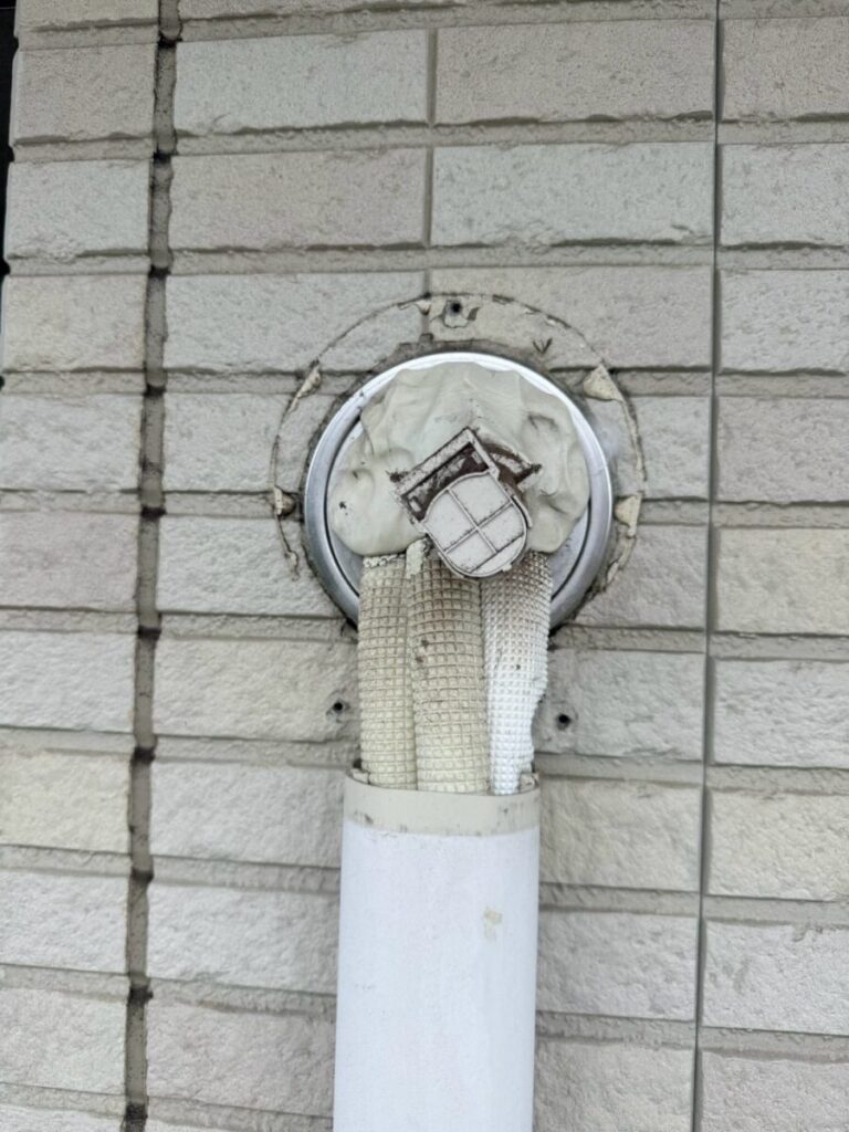 石川県野々市市コウモリ駆除