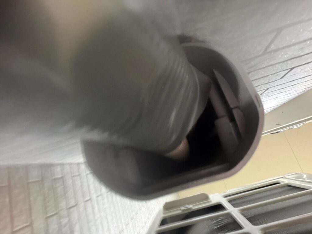 神奈川県相模原市コウモリ駆除