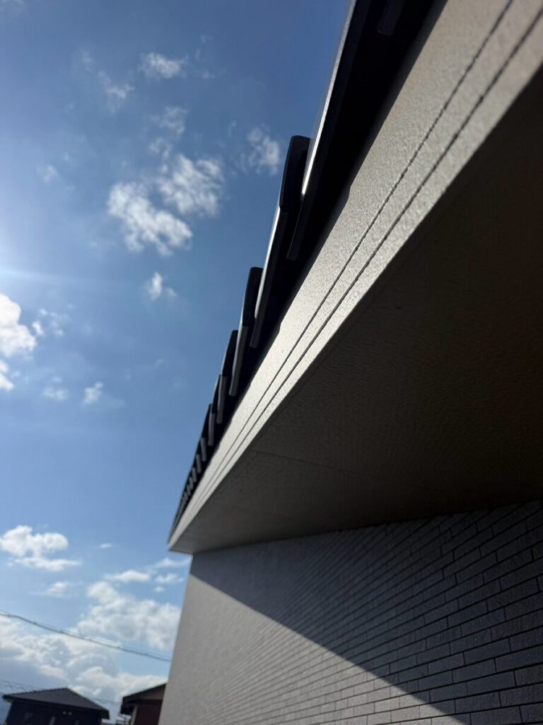 神奈川県相模原市コウモリ駆除