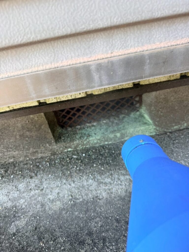 滋賀県彦根市ネズミ駆除