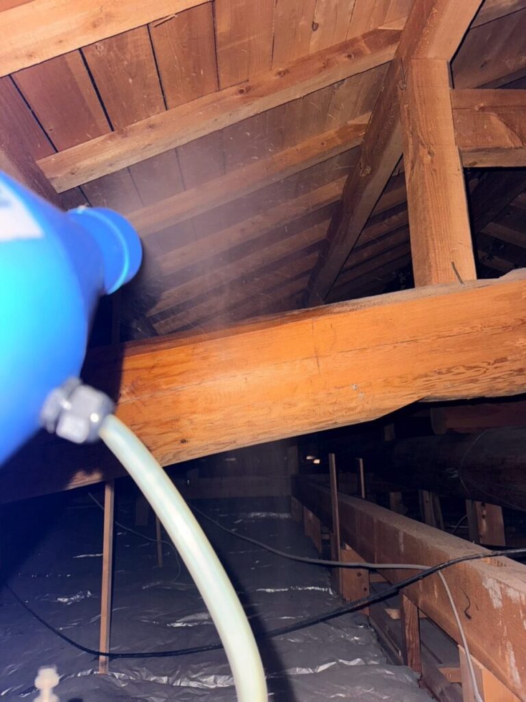 滋賀県彦根市ネズミ駆除