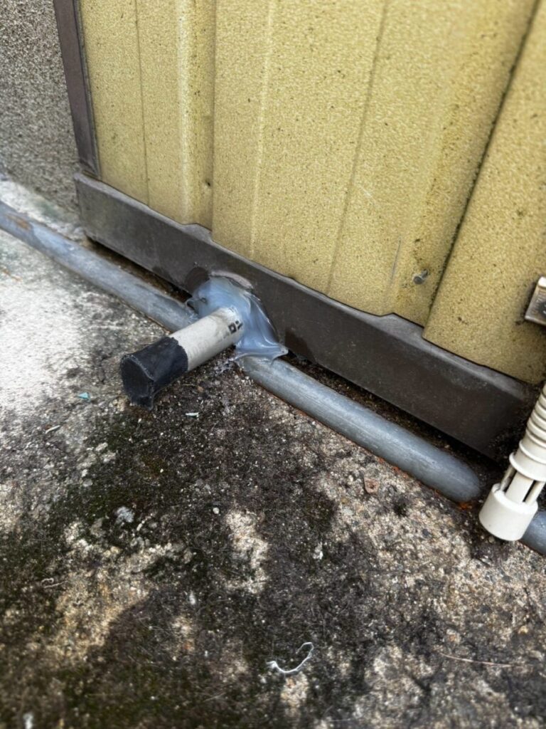 滋賀県彦根市ネズミ駆除