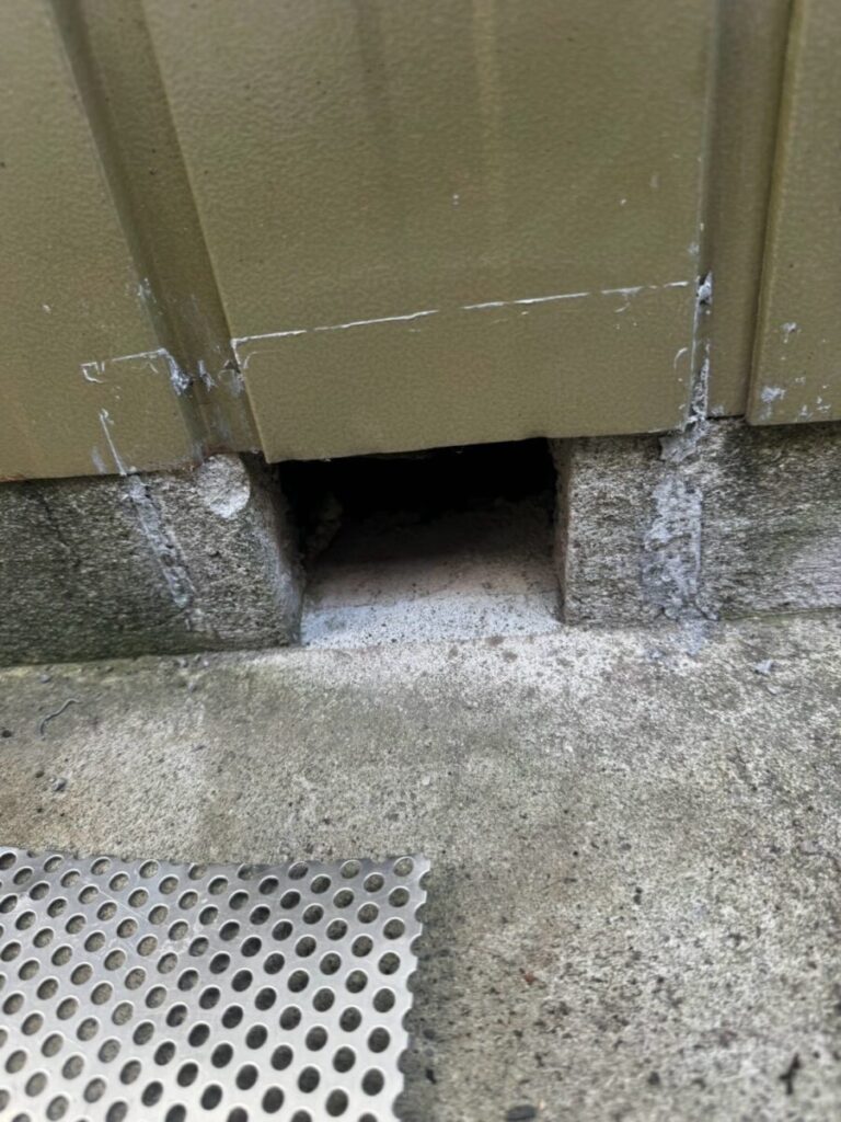 滋賀県彦根市ネズミ駆除