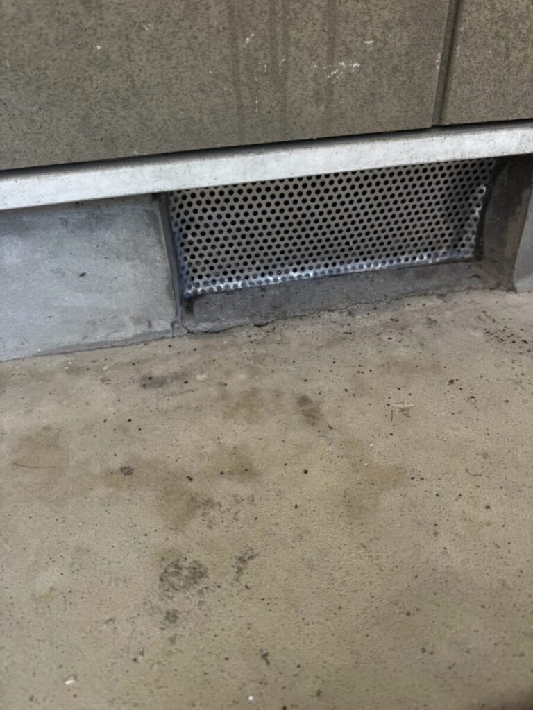 滋賀県彦根市ネズミ駆除