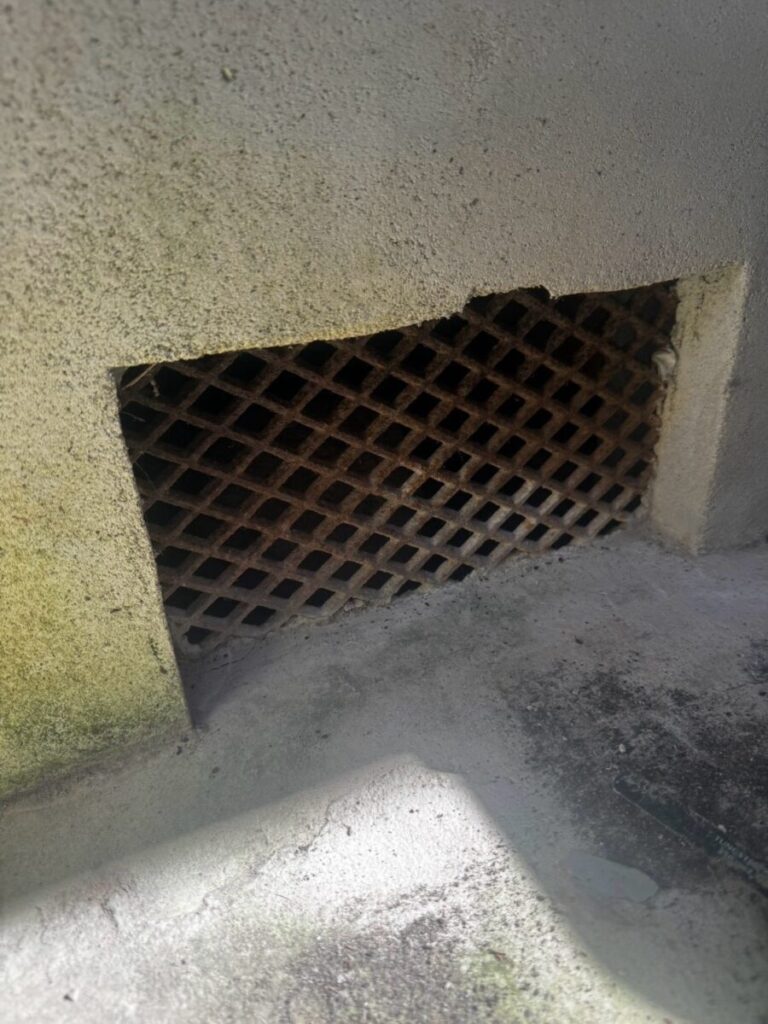 滋賀県彦根市ネズミ駆除