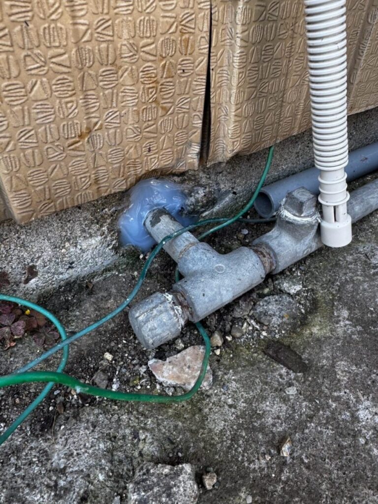 滋賀県彦根市ネズミ駆除